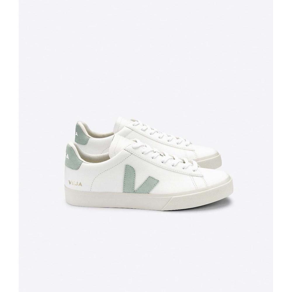 Veja CAMPO CHROMEFREE Low Tops Sneakers Heren White/Green | NL 196NWY